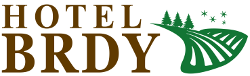 Primary Raster logo